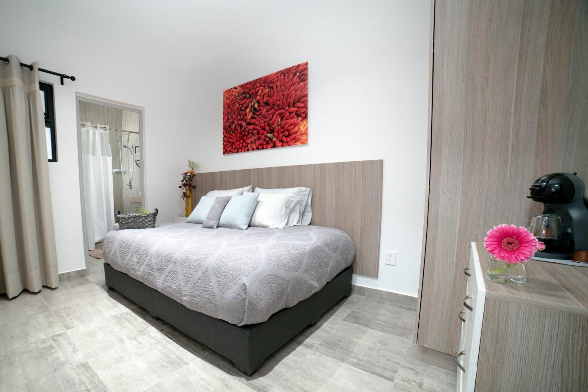 דירות מקסיקו סיטי Casa Carmelia La Condesa מראה חיצוני תמונה